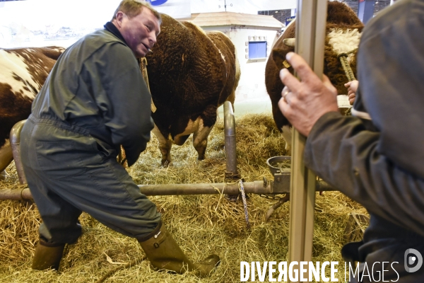 Paris Salon de l Agriculture 2015 : M. Bertrand Salmon et son champion Galant de 1545 kgs