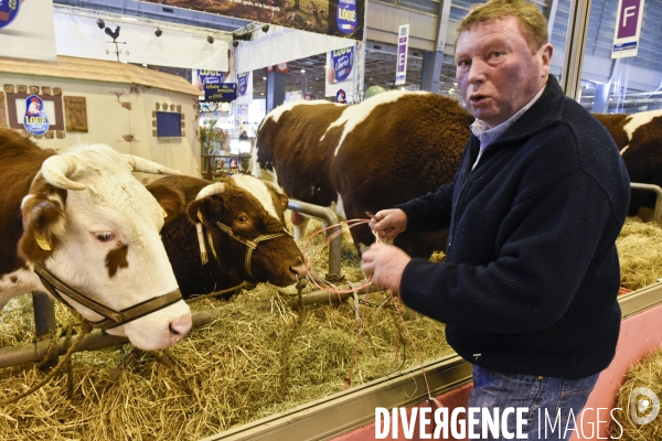 Paris Salon de l Agriculture 2015 : M. Bertrand Salmon et son champion Galant de 1545 kgs