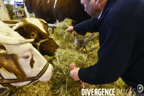 Paris Salon de l Agriculture 2015 : M. Bertrand Salmon et son champion Galant de 1545 kgs