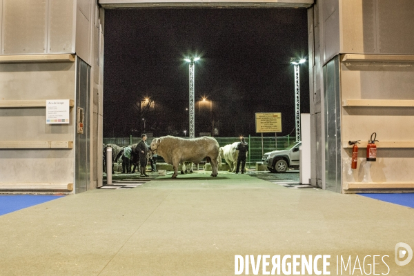 Les coulisses du Salon de l Agriculture #3