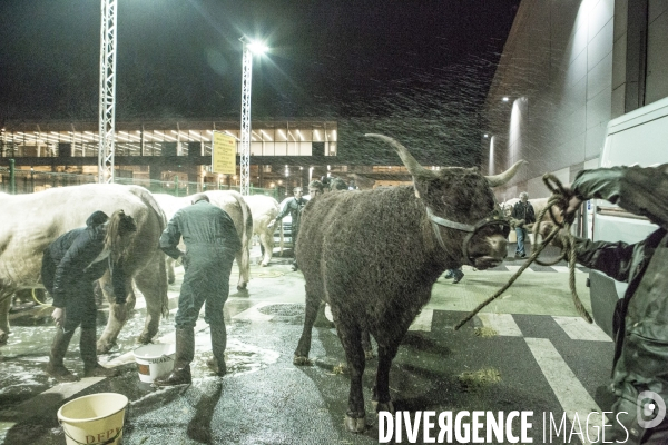 Les coulisses du Salon de l Agriculture #3