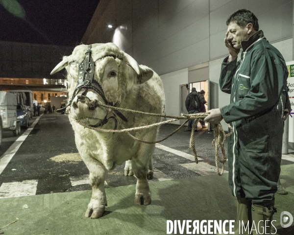 Les coulisses du Salon de l Agriculture #3