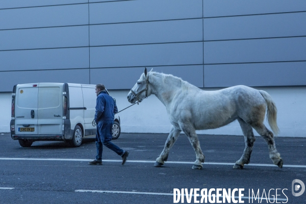 Les coulisses du Salon de l Agriculture #3