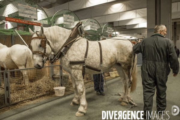 Les coulisses du Salon de l Agriculture #3