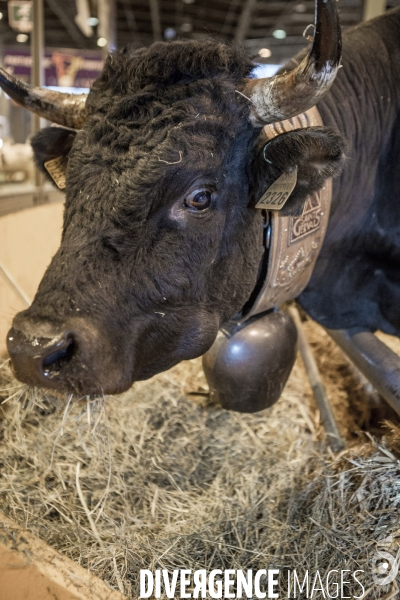 Les coulisses du Salon de l Agriculture #3