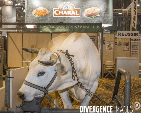 Les coulisses du Salon de l Agriculture #3