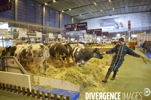 Manuel Valls PM au salon de l agriculture 2015