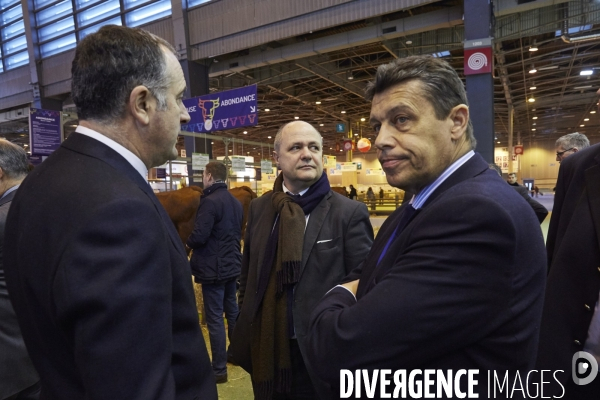 Manuel Valls PM au salon de l agriculture 2015