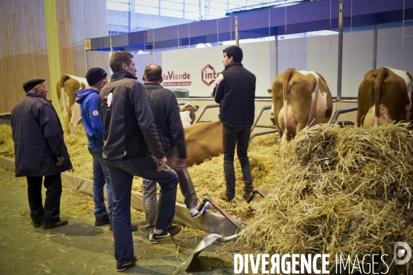 Paris Salon de l Agriculture 2015 : les coulisses à la veille de l ouverture