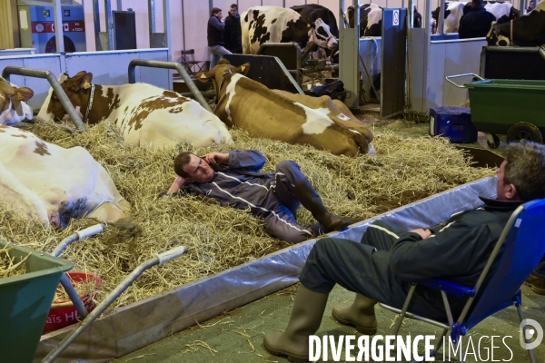 Paris Salon de l Agriculture 2015 : les coulisses à la veille de l ouverture