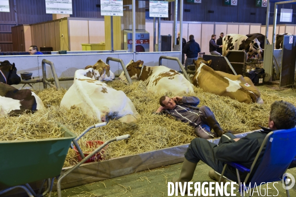 Paris Salon de l Agriculture 2015 : les coulisses à la veille de l ouverture