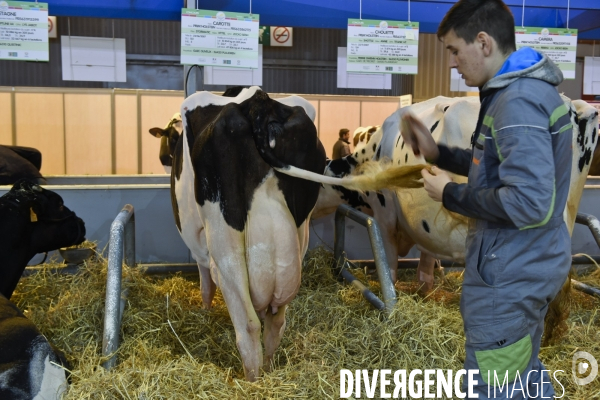 Paris Salon de l Agriculture 2015 : les coulisses à la veille de l ouverture