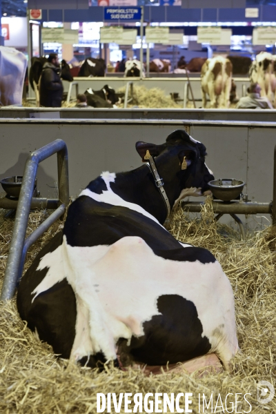 Paris Salon de l Agriculture 2015 : les coulisses à la veille de l ouverture