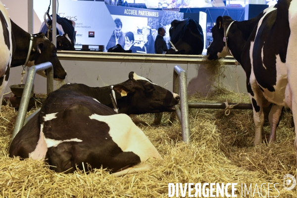 Paris Salon de l Agriculture 2015 : les coulisses à la veille de l ouverture