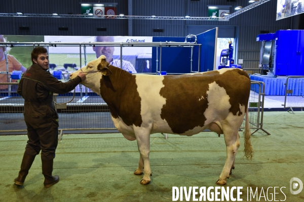 Paris Salon de l Agriculture 2015 : les coulisses à la veille de l ouverture