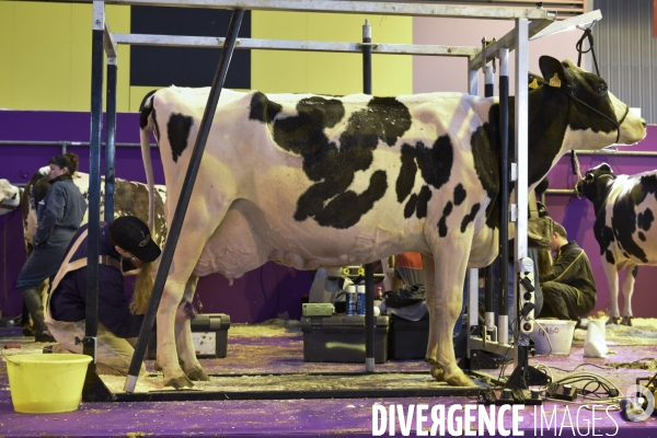 Paris Salon de l Agriculture 2015 : les coulisses à la veille de l ouverture