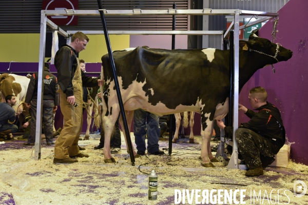 Paris Salon de l Agriculture 2015 : les coulisses à la veille de l ouverture