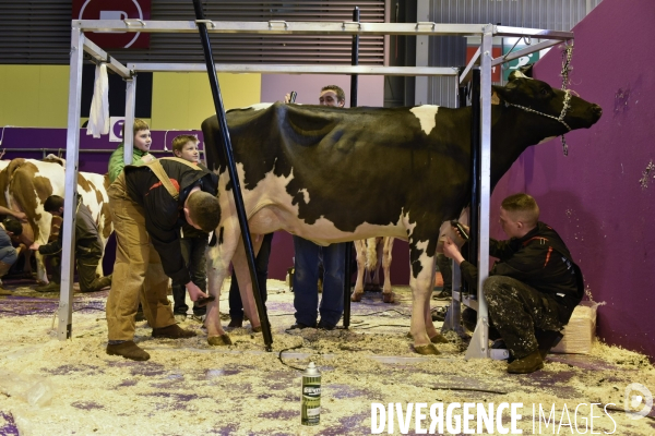 Paris Salon de l Agriculture 2015 : les coulisses à la veille de l ouverture