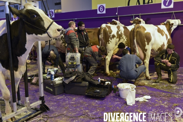 Paris Salon de l Agriculture 2015 : les coulisses à la veille de l ouverture