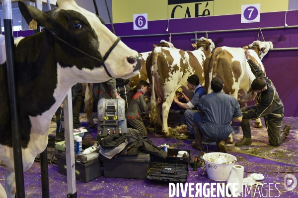 Paris Salon de l Agriculture 2015 : les coulisses à la veille de l ouverture