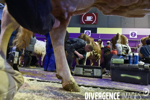 Paris Salon de l Agriculture 2015 : les coulisses à la veille de l ouverture