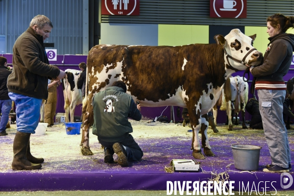 Paris Salon de l Agriculture 2015 : les coulisses à la veille de l ouverture