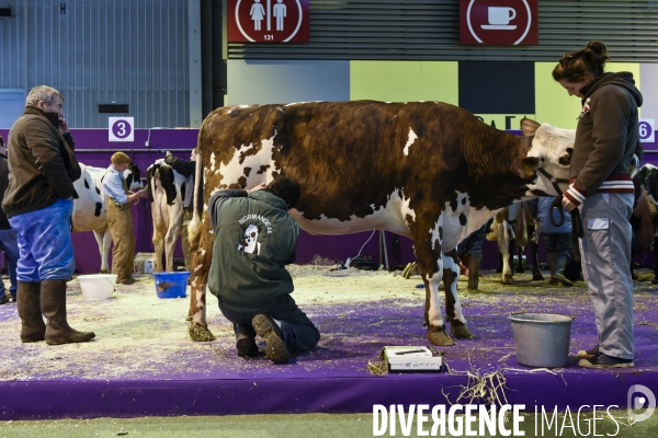 Paris Salon de l Agriculture 2015 : les coulisses à la veille de l ouverture