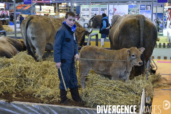 Paris Salon de l Agriculture 2015 : les coulisses à la veille de l ouverture