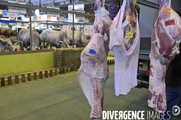 Paris Salon de l Agriculture 2015 : les coulisses à la veille de l ouverture