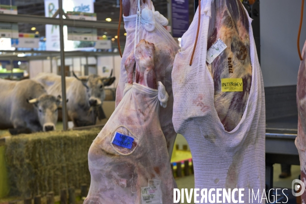 Paris Salon de l Agriculture 2015 : les coulisses à la veille de l ouverture