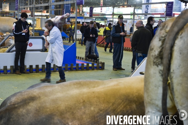 Paris Salon de l Agriculture 2015 : les coulisses à la veille de l ouverture