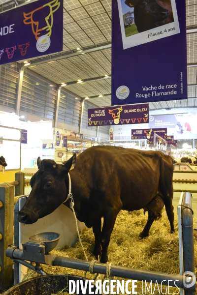 Paris Salon de l Agriculture 2015 : les coulisses à la veille de l ouverture