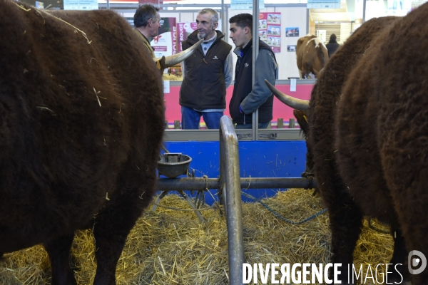 Paris Salon de l Agriculture 2015 : les coulisses à la veille de l ouverture