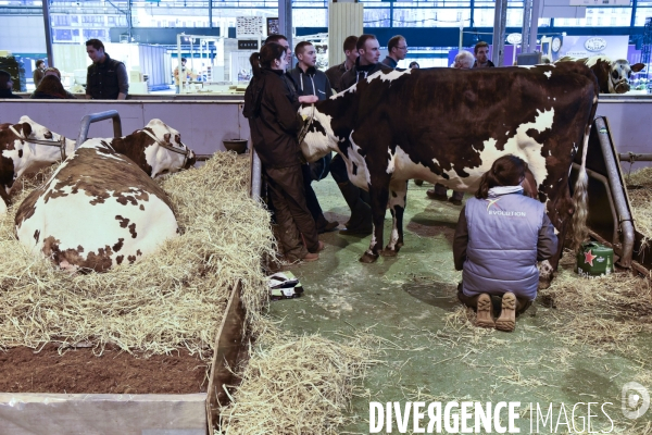 Paris Salon de l Agriculture 2015 : les coulisses à la veille de l ouverture