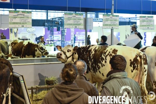 Paris Salon de l Agriculture 2015 : les coulisses à la veille de l ouverture