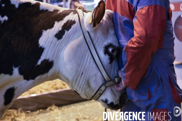 Paris Salon de l Agriculture 2015 : les coulisses à la veille de l ouverture