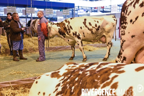 Paris Salon de l Agriculture 2015 : les coulisses à la veille de l ouverture