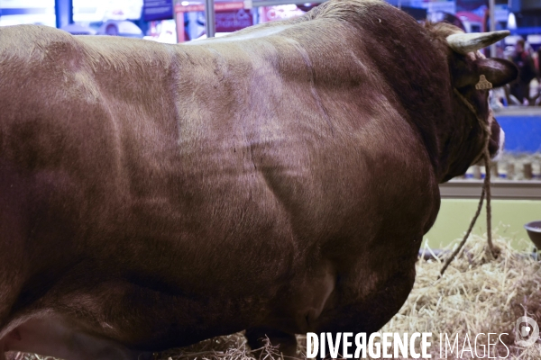 Paris Salon de l Agriculture 2015 : les coulisses à la veille de l ouverture