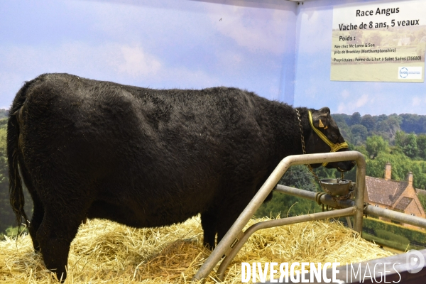 Paris Salon de l Agriculture 2015 : les coulisses à la veille de l ouverture