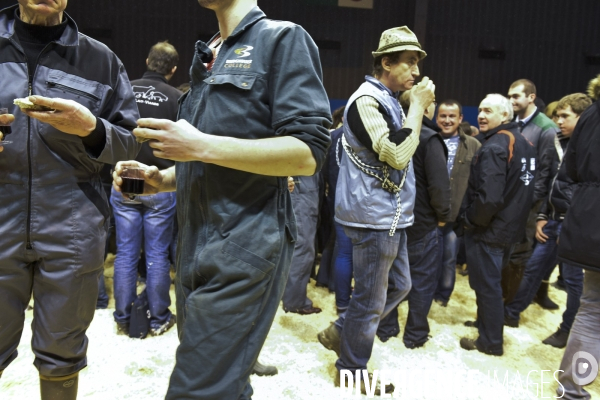 Paris Salon de l Agriculture 2015 : les coulisses à la veille de l ouverture