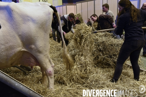 Paris Salon de l Agriculture 2015 : les coulisses à la veille de l ouverture