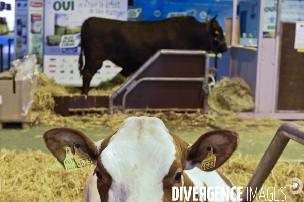 Paris Salon de l Agriculture 2015 : les coulisses à la veille de l ouverture