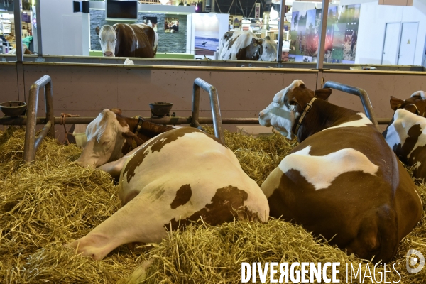 Paris Salon de l Agriculture 2015 : les coulisses à la veille de l ouverture