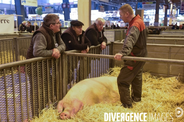 Paris Salon de l Agriculture 2015 : les coulisses à la veille de l ouverture