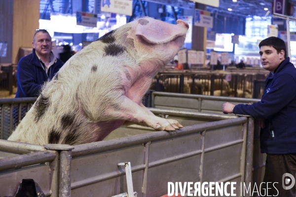 Paris Salon de l Agriculture 2015 : les coulisses à la veille de l ouverture