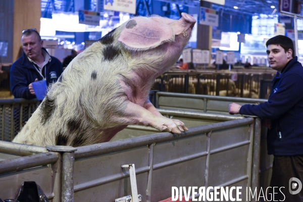 Paris Salon de l Agriculture 2015 : les coulisses à la veille de l ouverture