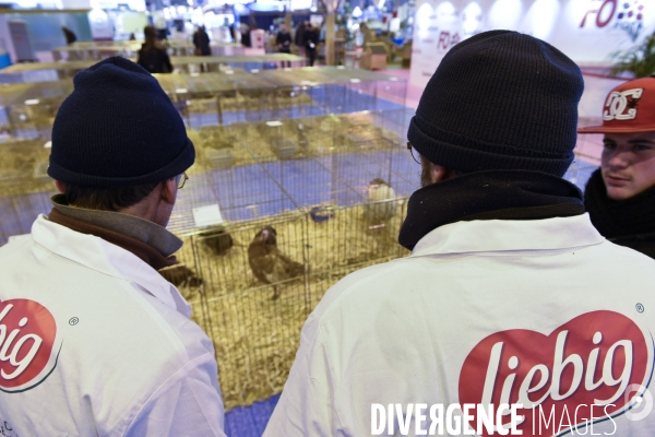 Paris Salon de l Agriculture 2015 : les coulisses à la veille de l ouverture