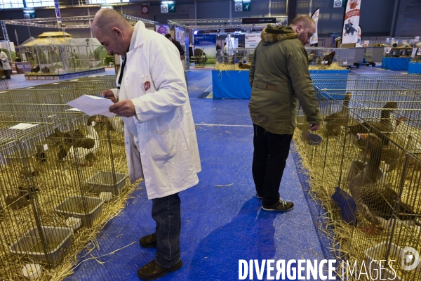 Paris Salon de l Agriculture 2015 : les coulisses à la veille de l ouverture