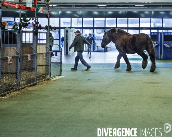 Les coulisses du Salon de l Agriculture #3