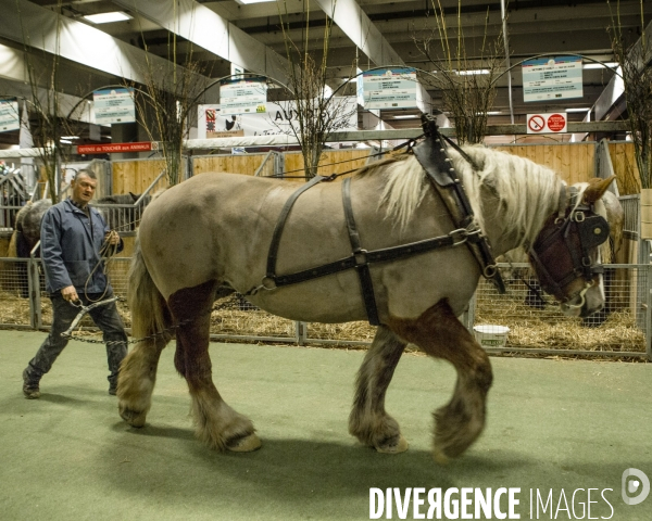 Les coulisses du Salon de l Agriculture #3